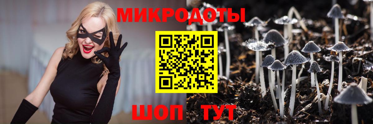 Чехов  Галлюциногенные грибы Cubensis  Вход с VPN 